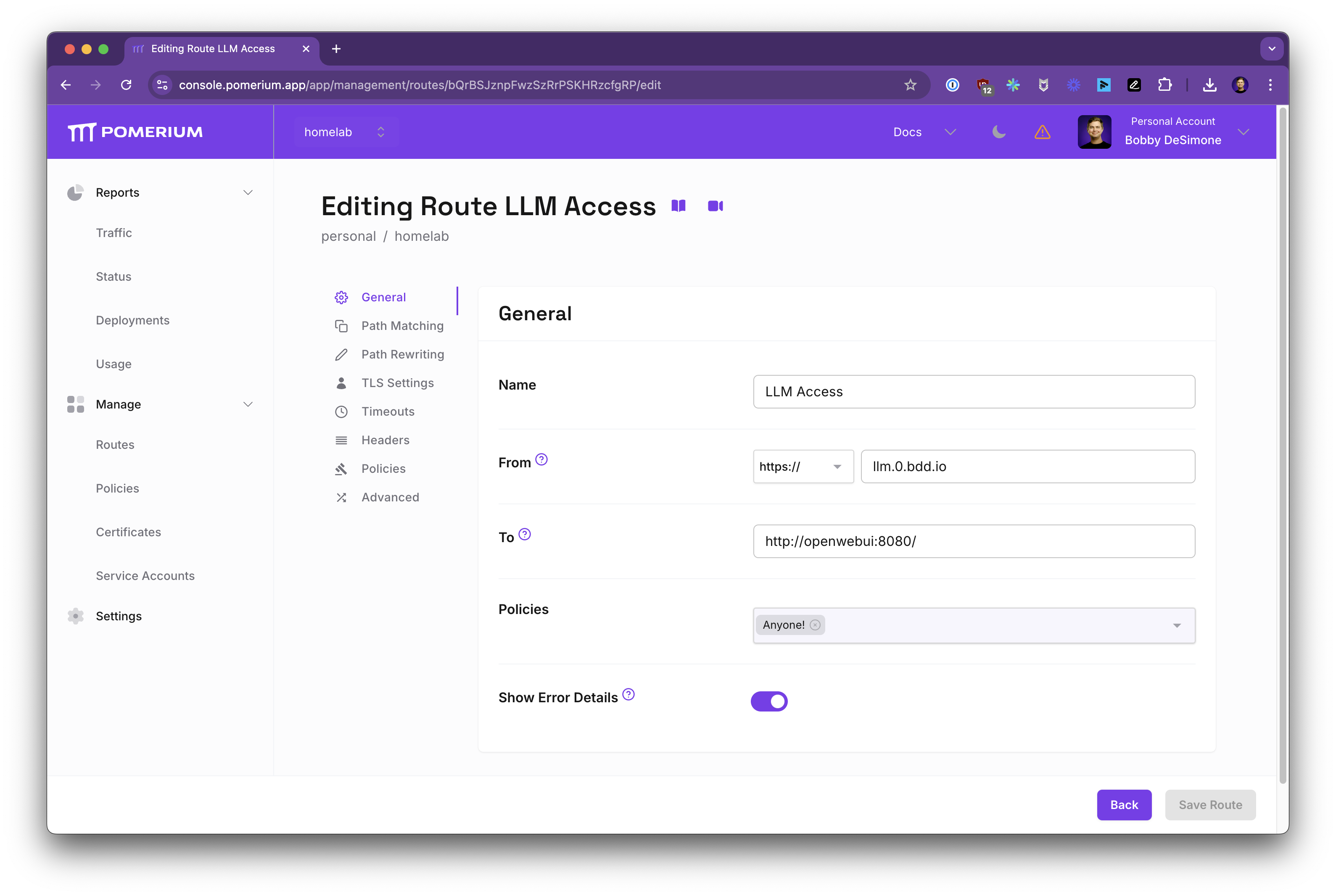 Screenshot of Pomerium route editing UI showing &quot;LLM Access&quot; route configuration