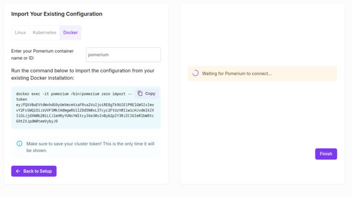 Copying the generated import command for Docker a installation